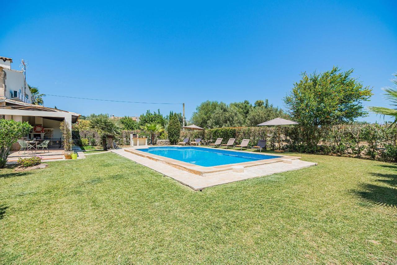 Oli Villa Pollença